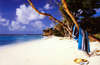 Necker Island Resort 